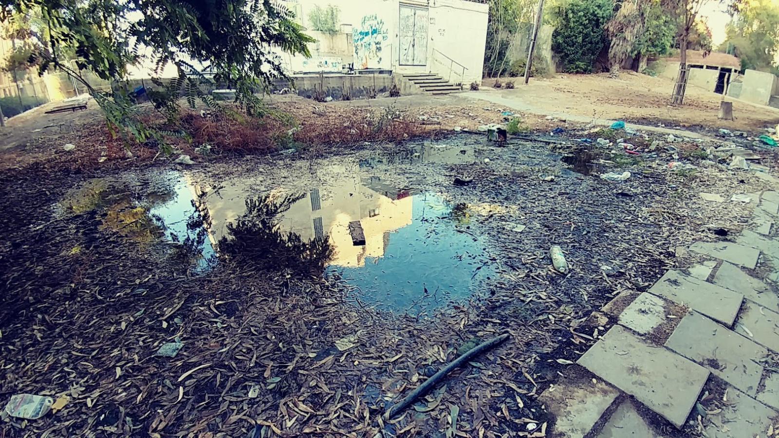 הבלוק טובע בביוב (צילום: דני בלר)